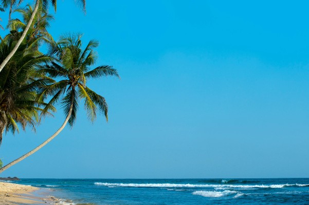 Sri Lanka Vacations